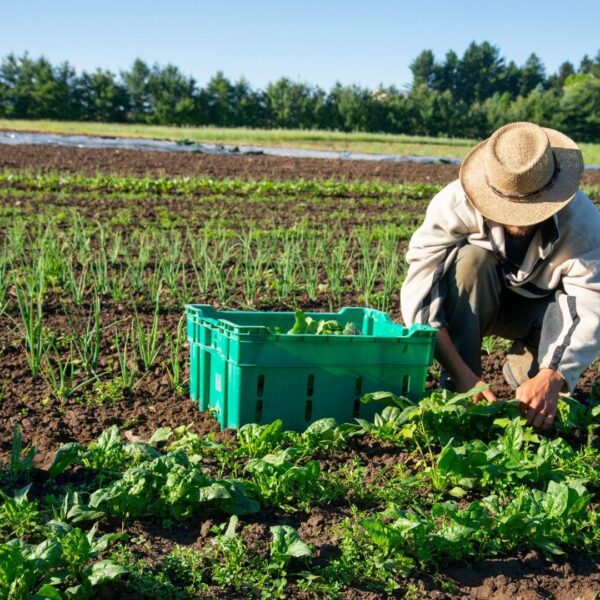 ISO 14001:2015 Çevre Yönetim Sistemi Eğitimi | Sertifika Programı
