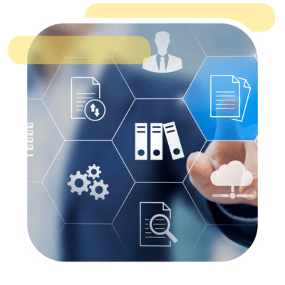 Büro Yönetimi & Asistanlık Programları